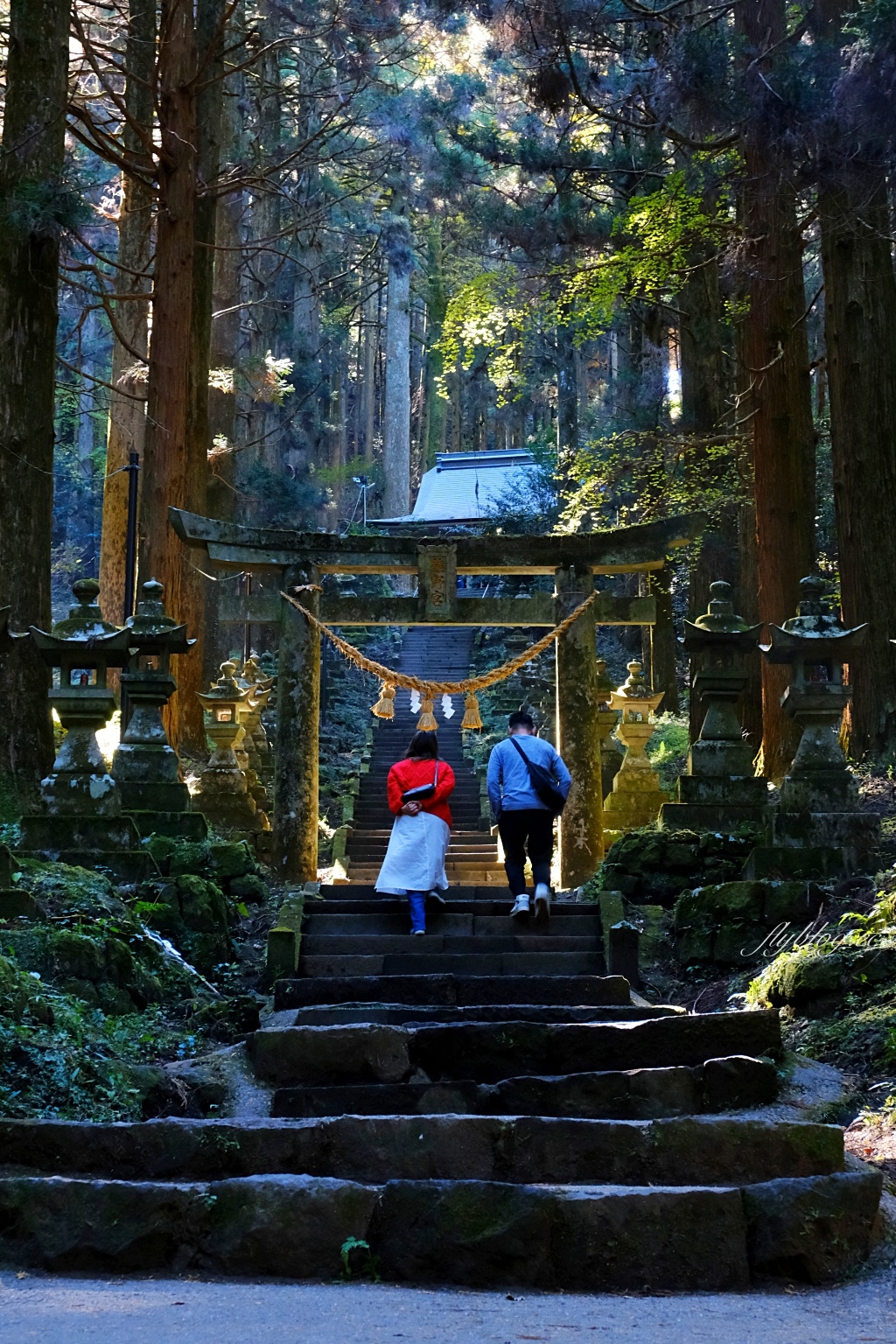 日本熊本｜上色見熊野座神社．人氣動漫螢火之森場景，仿佛走進異次元的神秘通道 @飛天璇的口袋