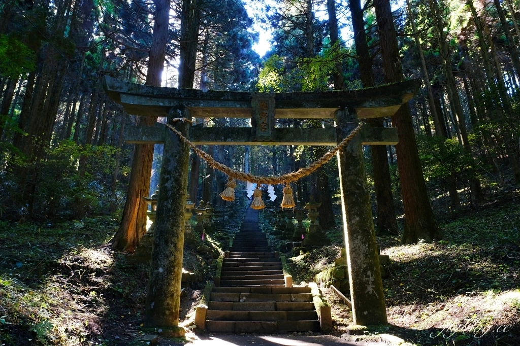 日本熊本｜上色見熊野座神社．人氣動漫螢火之森場景，仿佛走進異次元的神秘通道 @飛天璇的口袋