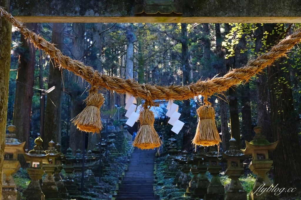 日本熊本｜上色見熊野座神社．人氣動漫螢火之森場景，仿佛走進異次元的神秘通道 @飛天璇的口袋