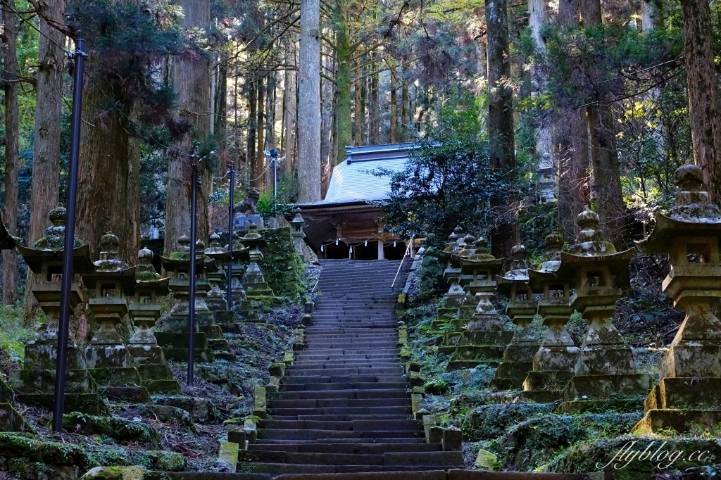 日本熊本｜上色見熊野座神社．人氣動漫螢火之森場景，仿佛走進異次元的神秘通道 @飛天璇的口袋