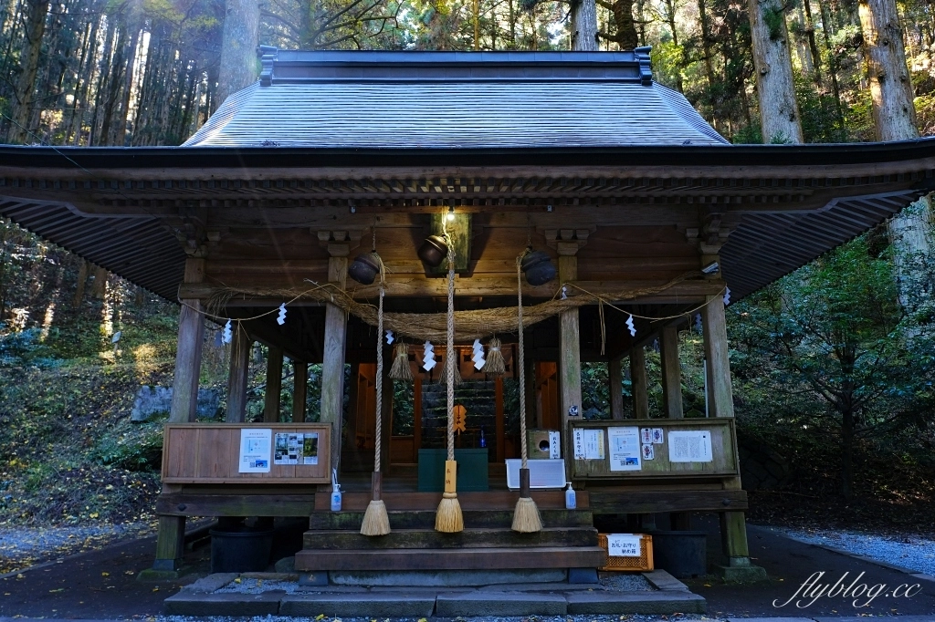 日本熊本｜上色見熊野座神社．人氣動漫螢火之森場景，仿佛走進異次元的神秘通道 @飛天璇的口袋