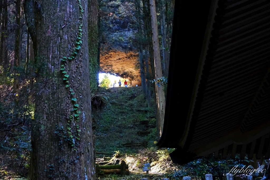 日本熊本｜上色見熊野座神社．人氣動漫螢火之森場景，仿佛走進異次元的神秘通道 @飛天璇的口袋