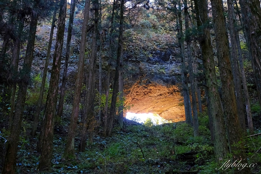 日本熊本｜上色見熊野座神社．人氣動漫螢火之森場景，仿佛走進異次元的神秘通道 @飛天璇的口袋
