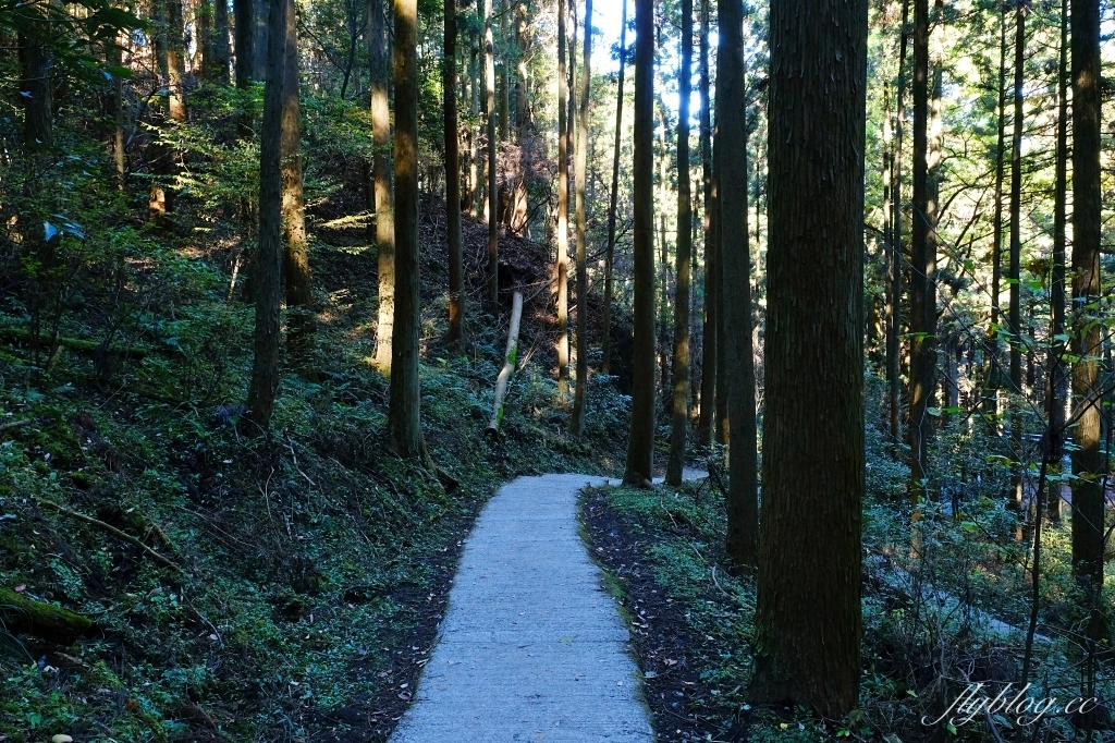 日本熊本｜上色見熊野座神社．人氣動漫螢火之森場景，仿佛走進異次元的神秘通道 @飛天璇的口袋