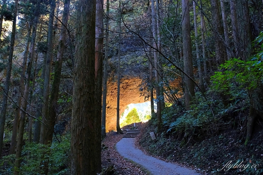 日本熊本｜上色見熊野座神社．人氣動漫螢火之森場景，仿佛走進異次元的神秘通道 @飛天璇的口袋