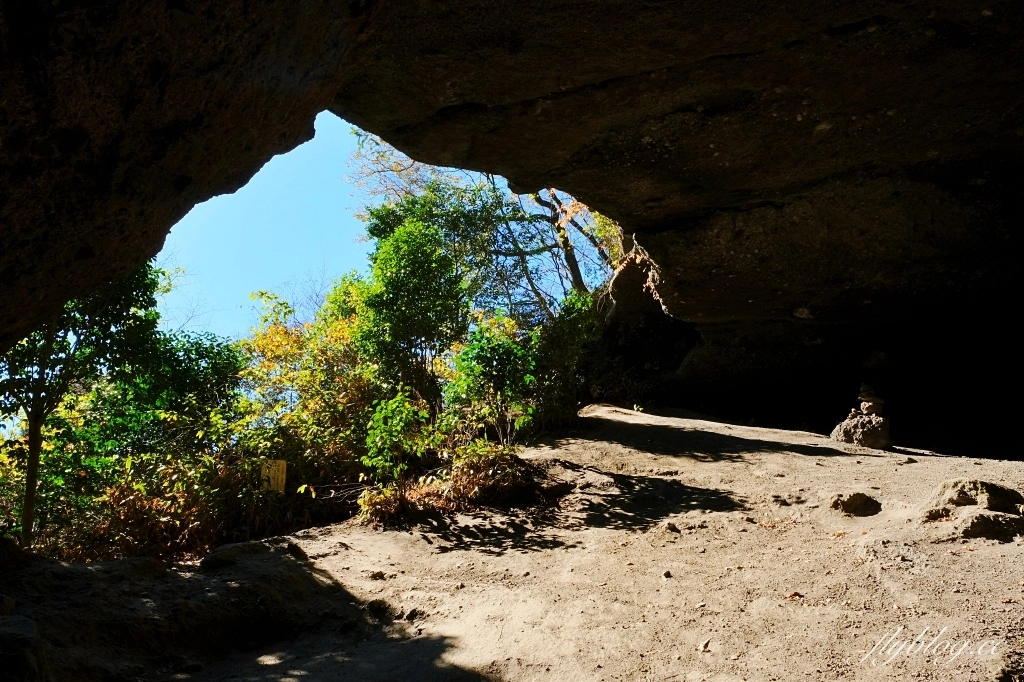 日本熊本｜上色見熊野座神社．人氣動漫螢火之森場景，仿佛走進異次元的神秘通道 @飛天璇的口袋
