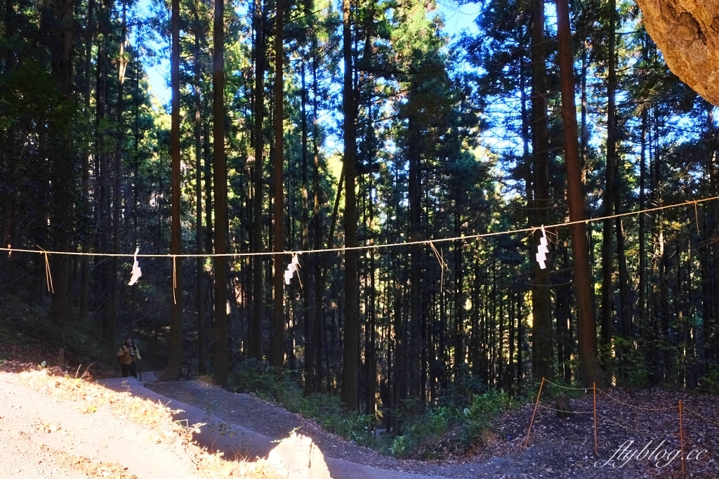 日本熊本｜上色見熊野座神社．人氣動漫螢火之森場景，仿佛走進異次元的神秘通道 @飛天璇的口袋