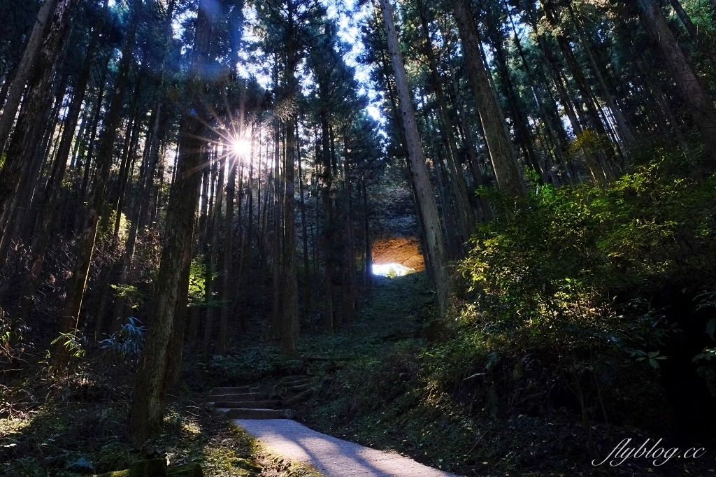 【福岡5天4夜自由行】免開車！福岡自由行懶人包，美食景點順遊路線 @飛天璇的口袋