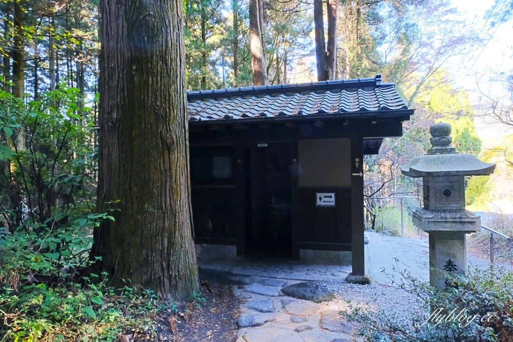 日本熊本｜上色見熊野座神社．人氣動漫螢火之森場景，仿佛走進異次元的神秘通道 @飛天璇的口袋