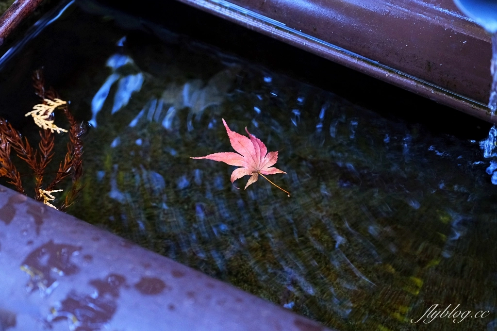 日本熊本｜上色見熊野座神社．人氣動漫螢火之森場景，仿佛走進異次元的神秘通道 @飛天璇的口袋