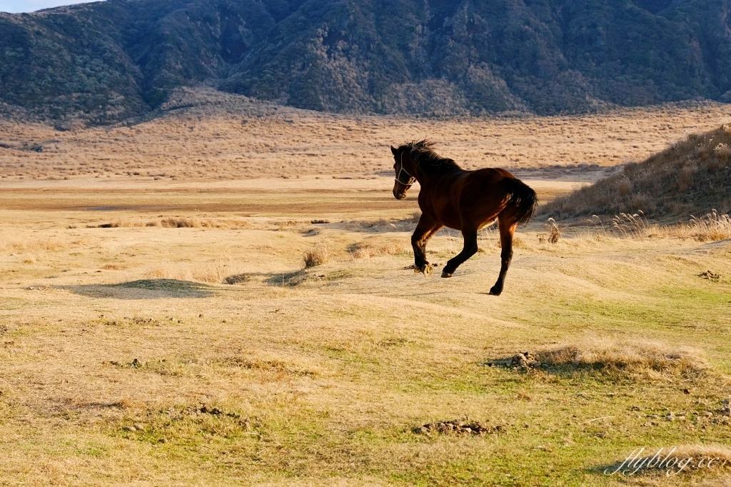 【福岡5天4夜自由行】免開車！福岡自由行懶人包，美食景點順遊路線 @飛天璇的口袋
