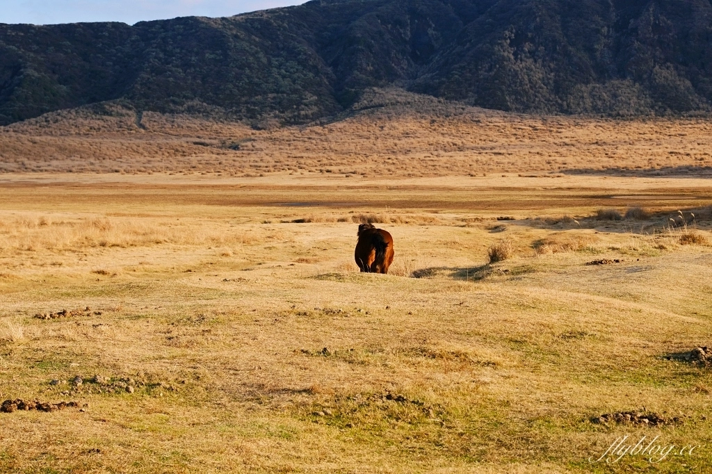 日本熊本｜草千里之濱．阿蘇火山一望無際大草原，可以騎馬和參觀博物館 @飛天璇的口袋