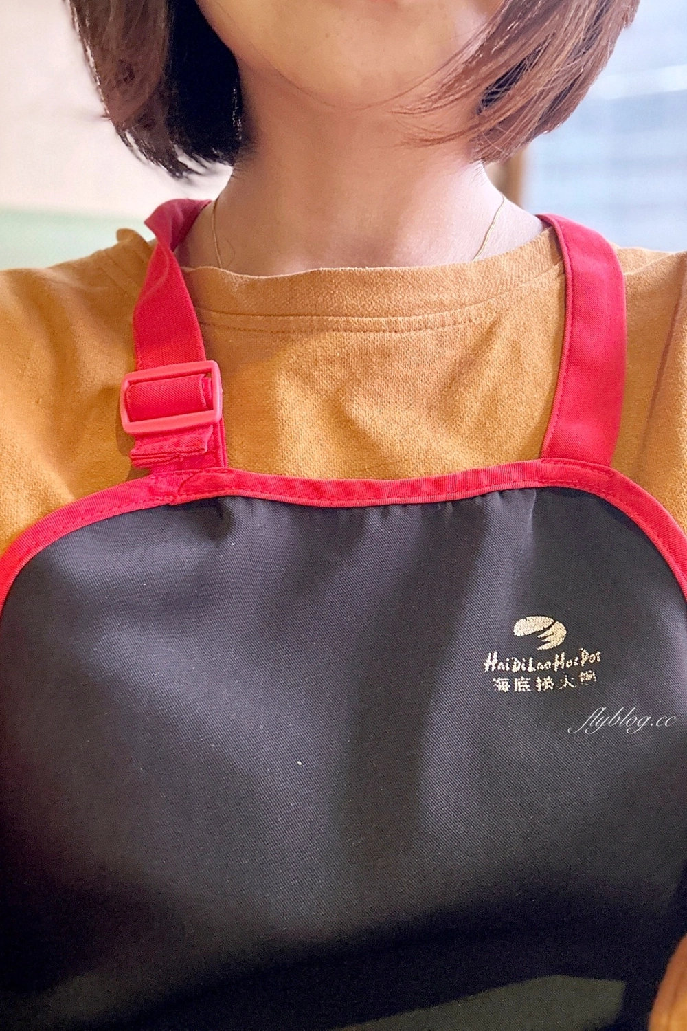 台中西屯｜海底撈火鍋．特殊服務有哪些？隱藏版吃法和特色醬料介紹 @飛天璇的口袋