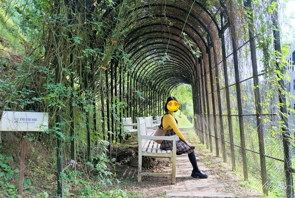 苗栗頭屋｜雅聞七里香玫瑰森林．免費參觀，全台最大玫瑰花園 @飛天璇的口袋