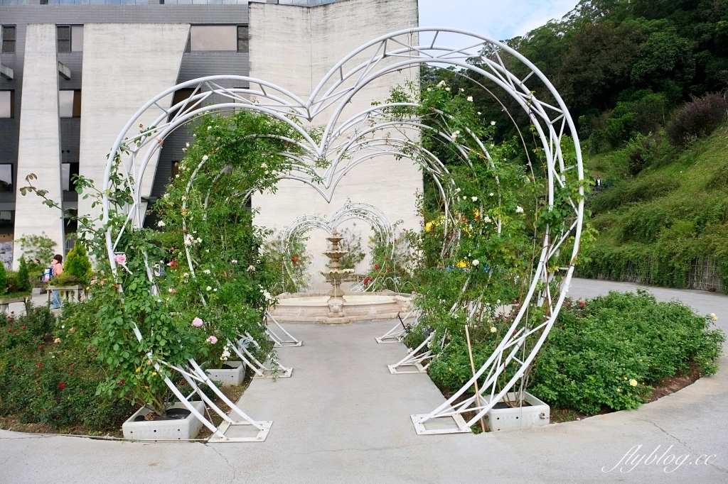 苗栗頭屋|雅聞七里香玫瑰森林.免費參觀,全台最大玫瑰花園 @飛天璇的口袋 苗栗頭屋|雅聞七里香玫瑰森林.免費參觀,全台最大玫瑰花園 @飛天璇的口袋