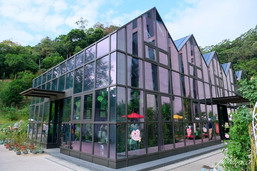 苗栗頭屋|雅聞七里香玫瑰森林.免費參觀,全台最大玫瑰花園 @飛天璇的口袋 苗栗頭屋|雅聞七里香玫瑰森林.免費參觀,全台最大玫瑰花園 @飛天璇的口袋