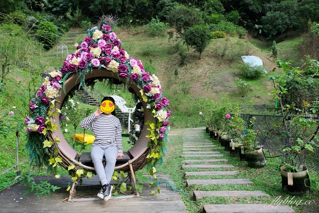 苗栗頭屋|雅聞七里香玫瑰森林.免費參觀,全台最大玫瑰花園 @飛天璇的口袋 苗栗頭屋|雅聞七里香玫瑰森林.免費參觀,全台最大玫瑰花園 @飛天璇的口袋