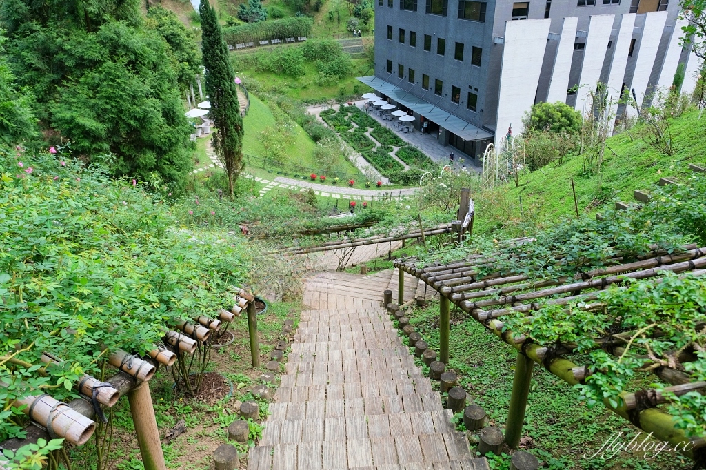 苗栗頭屋|雅聞七里香玫瑰森林.免費參觀,全台最大玫瑰花園 @飛天璇的口袋 苗栗頭屋|雅聞七里香玫瑰森林.免費參觀,全台最大玫瑰花園 @飛天璇的口袋