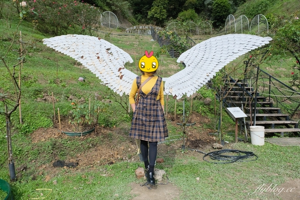 苗栗頭屋|雅聞七里香玫瑰森林.免費參觀,全台最大玫瑰花園 @飛天璇的口袋 苗栗頭屋|雅聞七里香玫瑰森林.免費參觀,全台最大玫瑰花園 @飛天璇的口袋