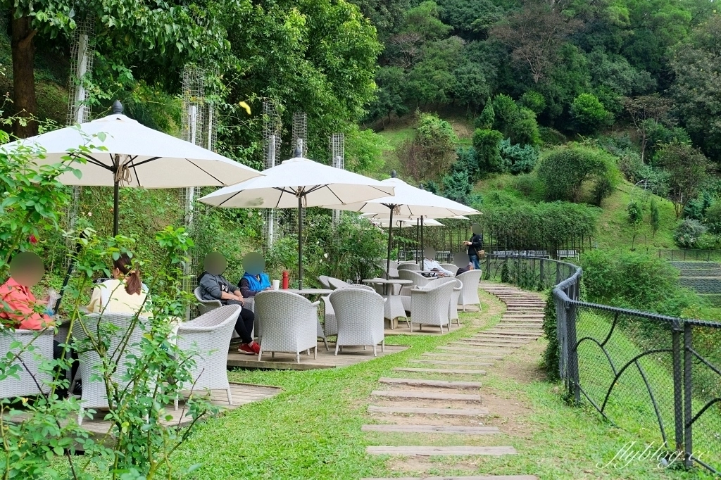 苗栗頭屋|雅聞七里香玫瑰森林.免費參觀,全台最大玫瑰花園 @飛天璇的口袋 苗栗頭屋|雅聞七里香玫瑰森林.免費參觀,全台最大玫瑰花園 @飛天璇的口袋