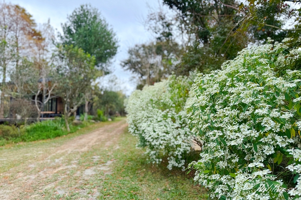 苗栗卓蘭｜寨酌然野奢庄園．苗栗五星級露營區，奢華Villa肆院一泊二食 @飛天璇的口袋