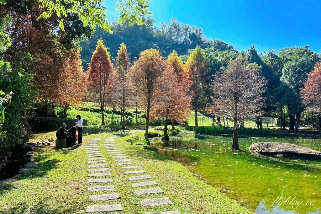 台中太平｜太平苗圃落羽松．依山傍水湖光倒影，太平落羽松秘境 @飛天璇的口袋