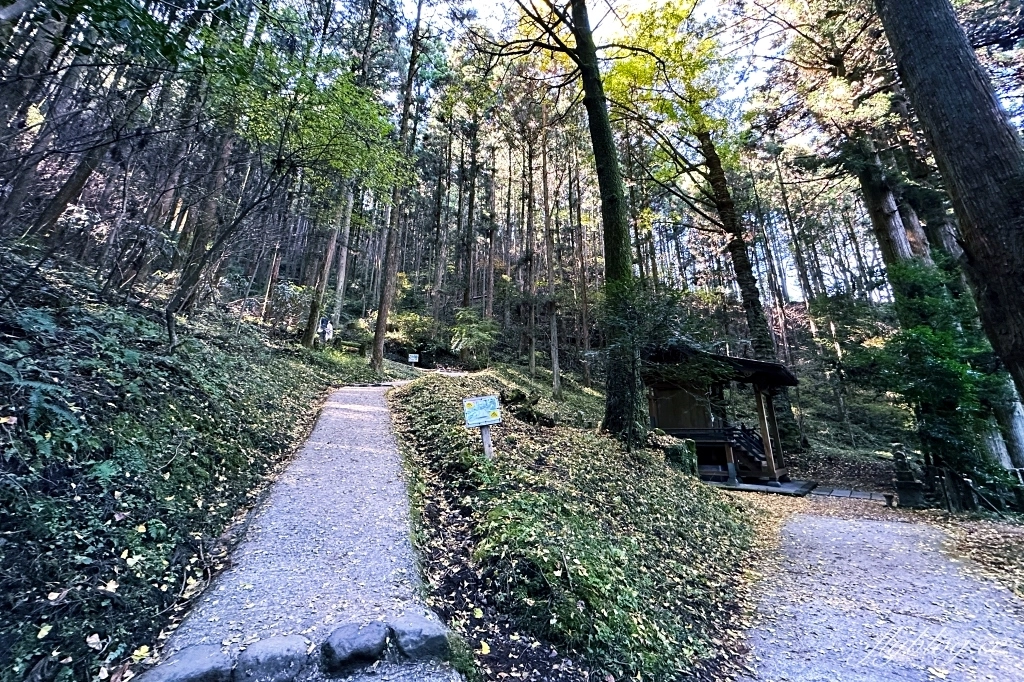 日本熊本｜上色見熊野座神社．人氣動漫螢火之森場景，仿佛走進異次元的神秘通道 @飛天璇的口袋