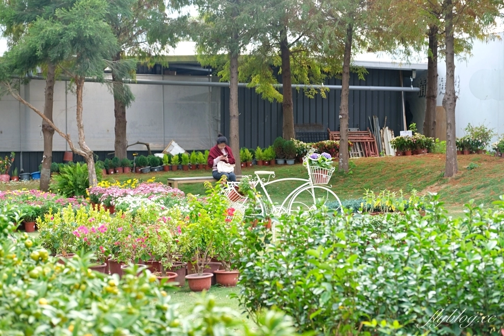 台中南屯｜江合花市．台中花市盆栽植物花卉器材，過年過節買花的好地方 @飛天璇的口袋