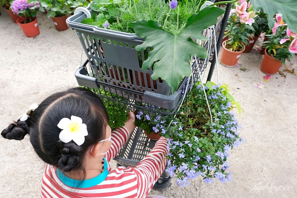 台中南屯｜江合花市．台中花市盆栽植物花卉器材，過年過節買花的好地方 @飛天璇的口袋