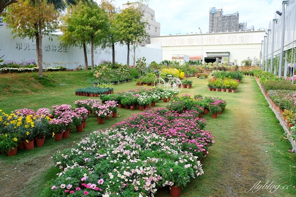 台中南屯｜江合花市．台中花市盆栽植物花卉器材，過年過節買花的好地方 @飛天璇的口袋