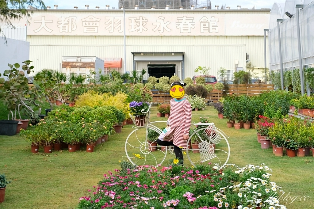 台中南屯｜江合花市．台中花市盆栽植物花卉器材，過年過節買花的好地方 @飛天璇的口袋