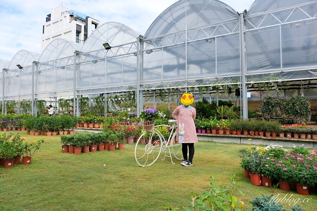 台中南屯｜江合花市．台中花市盆栽植物花卉器材，過年過節買花的好地方 @飛天璇的口袋