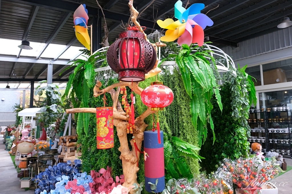 台中南屯｜江合花市．台中花市盆栽植物花卉器材，過年過節買花的好地方 @飛天璇的口袋