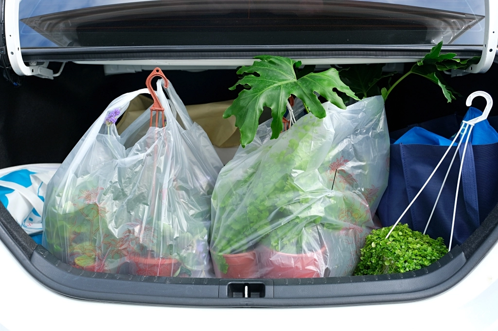 台中南屯｜江合花市．台中花市盆栽植物花卉器材，過年過節買花的好地方 @飛天璇的口袋