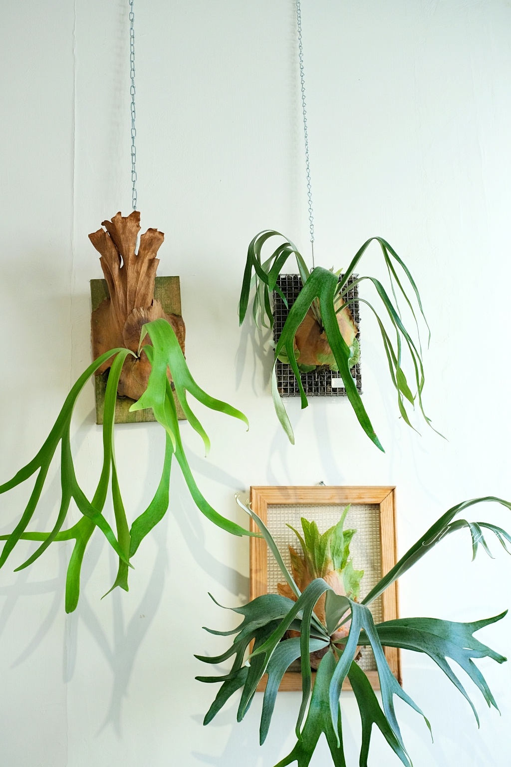 南投埔里｜Middle coffee 明豆咖啡．地母廟旁的韓系咖啡館，咖啡好喝有水準 @飛天璇的口袋