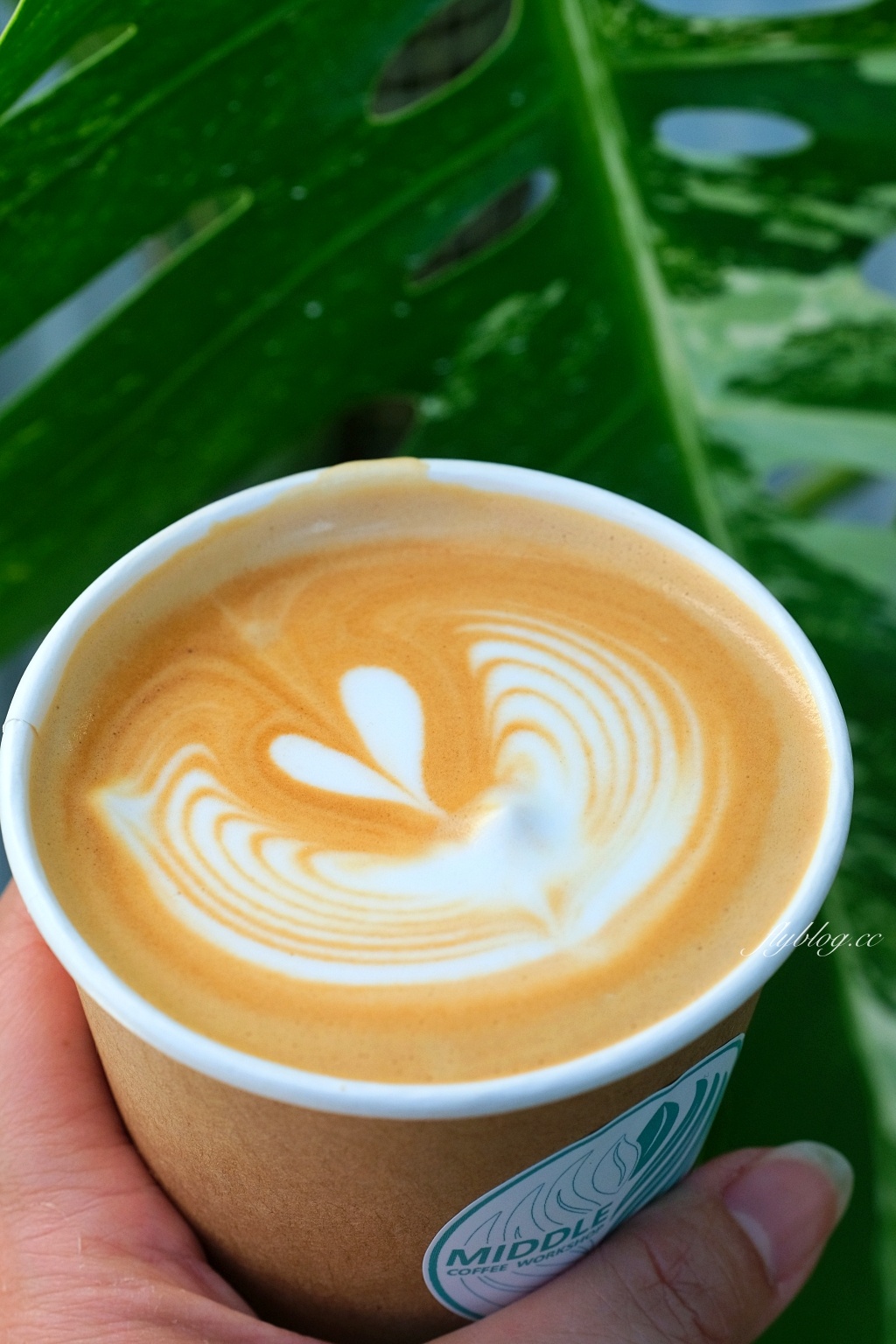 南投埔里｜Middle coffee 明豆咖啡．地母廟旁的韓系咖啡館，咖啡好喝有水準 @飛天璇的口袋