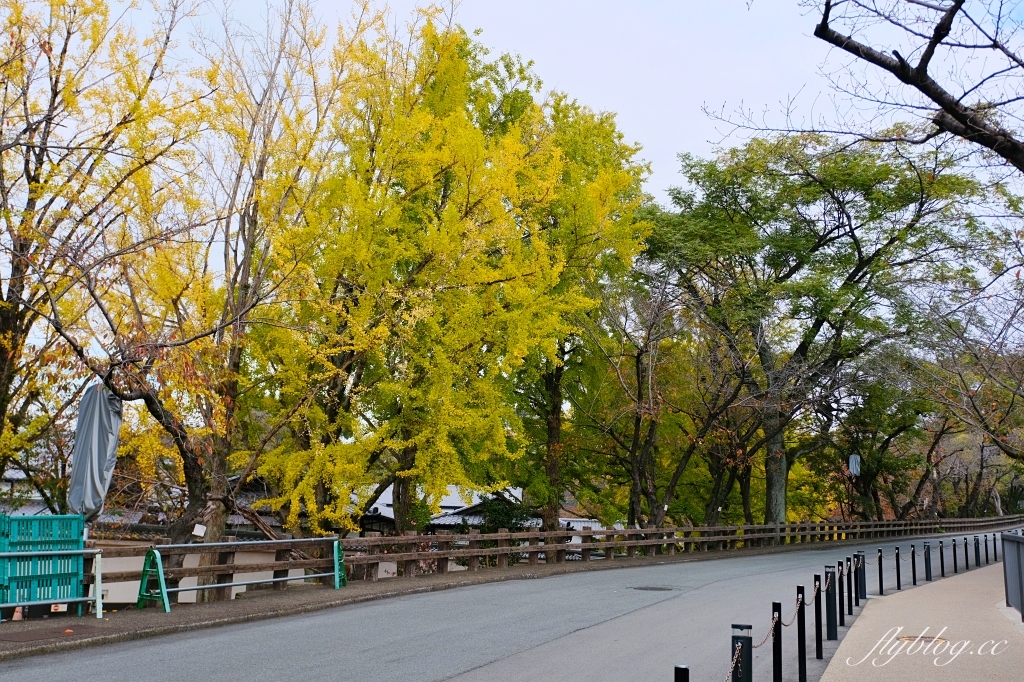 日本熊本｜熊本城．日本三名城之一，天守閣重新開放，含交通路線介紹 @飛天璇的口袋