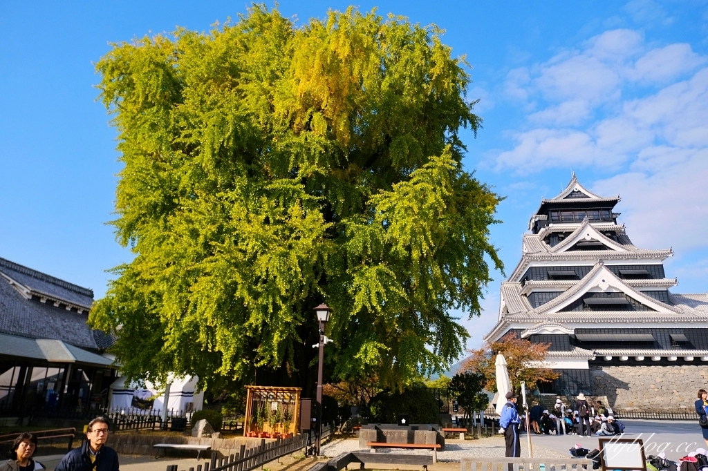 日本熊本｜熊本城．日本三名城之一，天守閣重新開放，含交通路線介紹 @飛天璇的口袋