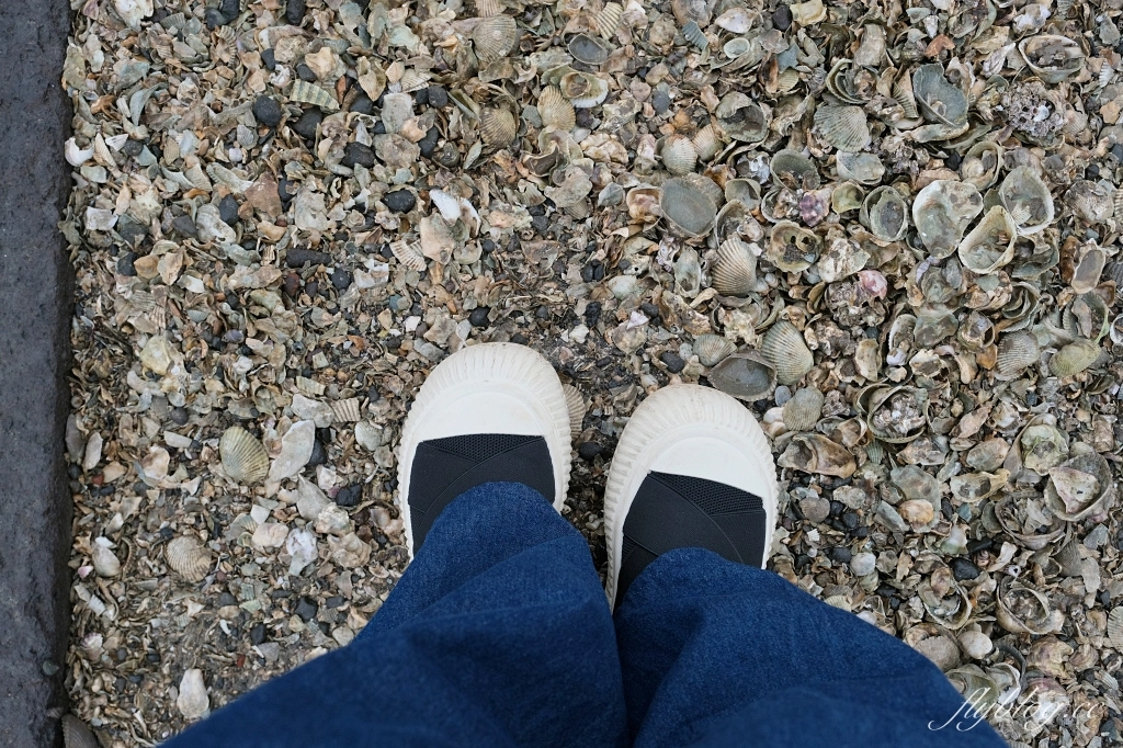 日本佐賀｜大魚神社．太良町絕美海上鳥居，佐賀隱藏版景點 @飛天璇的口袋