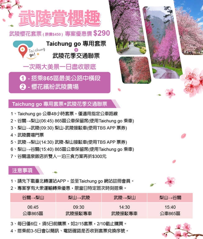 台中和平｜2025武陵農場櫻花季．2/8~3/2登場，交通方式和最新花況一次看 @飛天璇的口袋