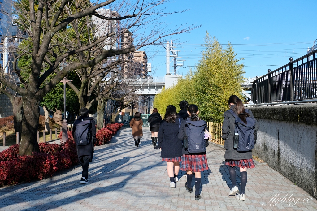 【東京自由行】新手指南!東京自由行5~10日行程怎麼規劃?東京美食、住宿、景點、交通總整理 @飛天璇的口袋 【東京自由行】新手指南!東京自由行5~10日行程怎麼規劃?東京美食、住宿、景點、交通總整理 @飛天璇的口袋