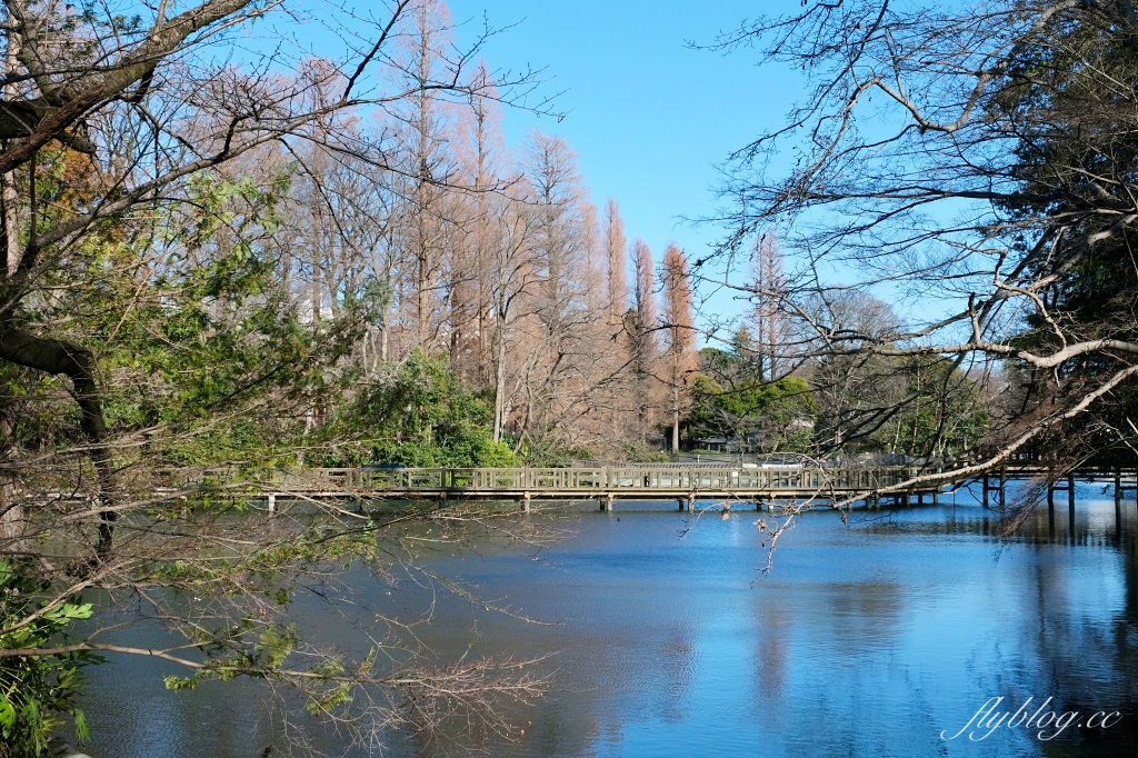 【東京自由行】新手指南!東京自由行5~10日行程怎麼規劃?東京美食、住宿、景點、交通總整理 @飛天璇的口袋 【東京自由行】新手指南!東京自由行5~10日行程怎麼規劃?東京美食、住宿、景點、交通總整理 @飛天璇的口袋