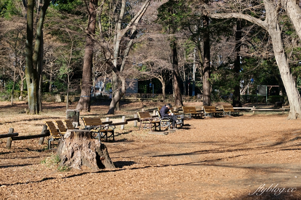 日本東京｜三鷹之森吉卜力美術館 ．走進宮崎駿的童話世界，購票方式以及交通方式 @飛天璇的口袋