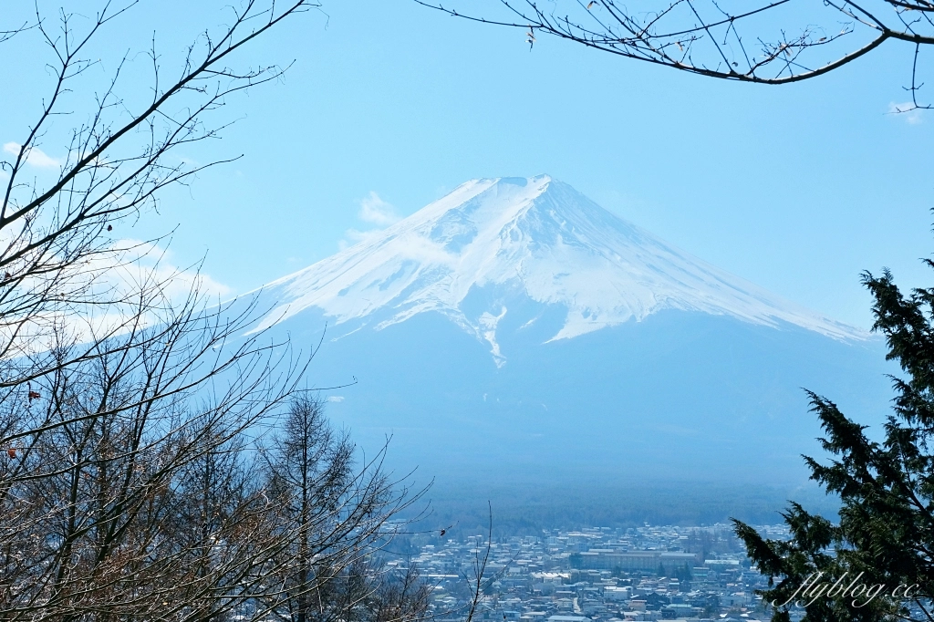 日本山梨｜富士山一日遊．富士山+河口湖天上山公園纜車+忍野八海+淺間公園 (KKday東京出發) @飛天璇的口袋