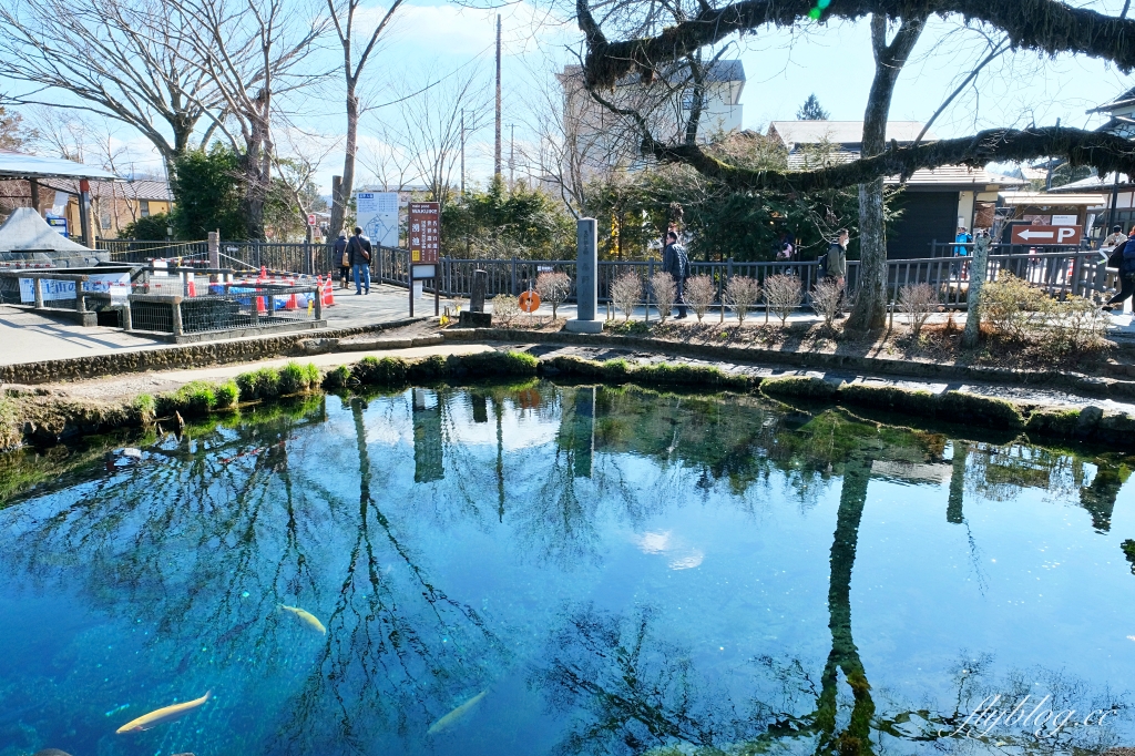 日本山梨｜富士山一日遊．富士山+河口湖天上山公園纜車+忍野八海+淺間公園 (KKday東京出發) @飛天璇的口袋