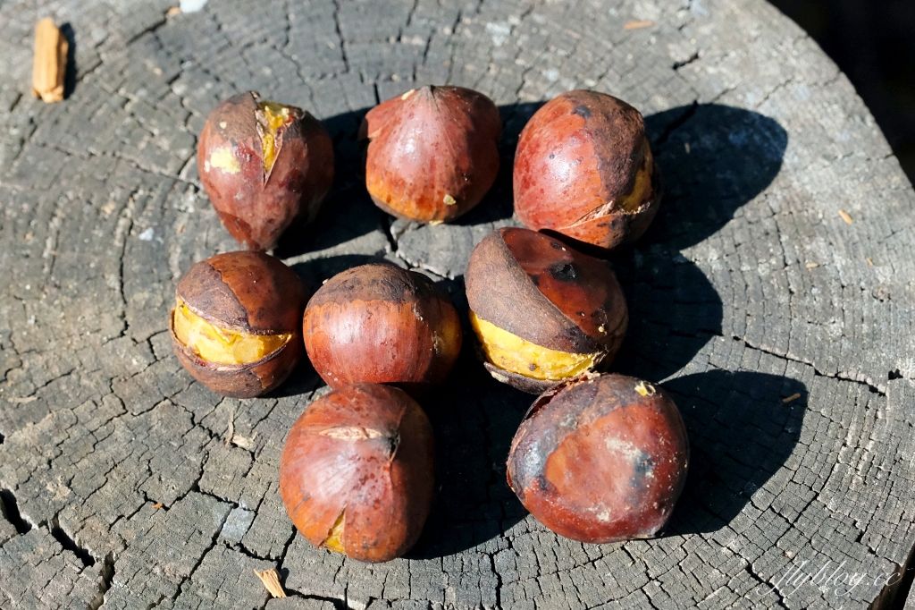 日本山梨｜富士山一日遊．富士山+河口湖天上山公園纜車+忍野八海+淺間公園 (KKday東京出發) @飛天璇的口袋