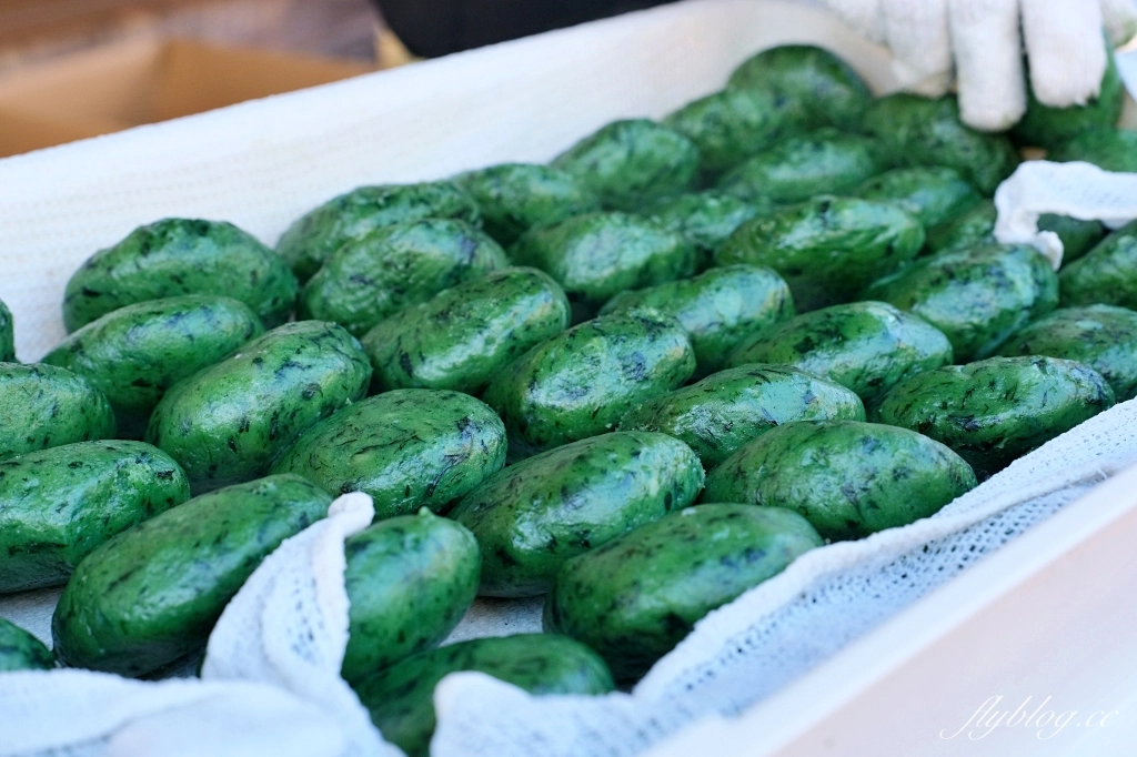 日本山梨｜富士山一日遊．富士山+河口湖天上山公園纜車+忍野八海+淺間公園 (KKday東京出發) @飛天璇的口袋