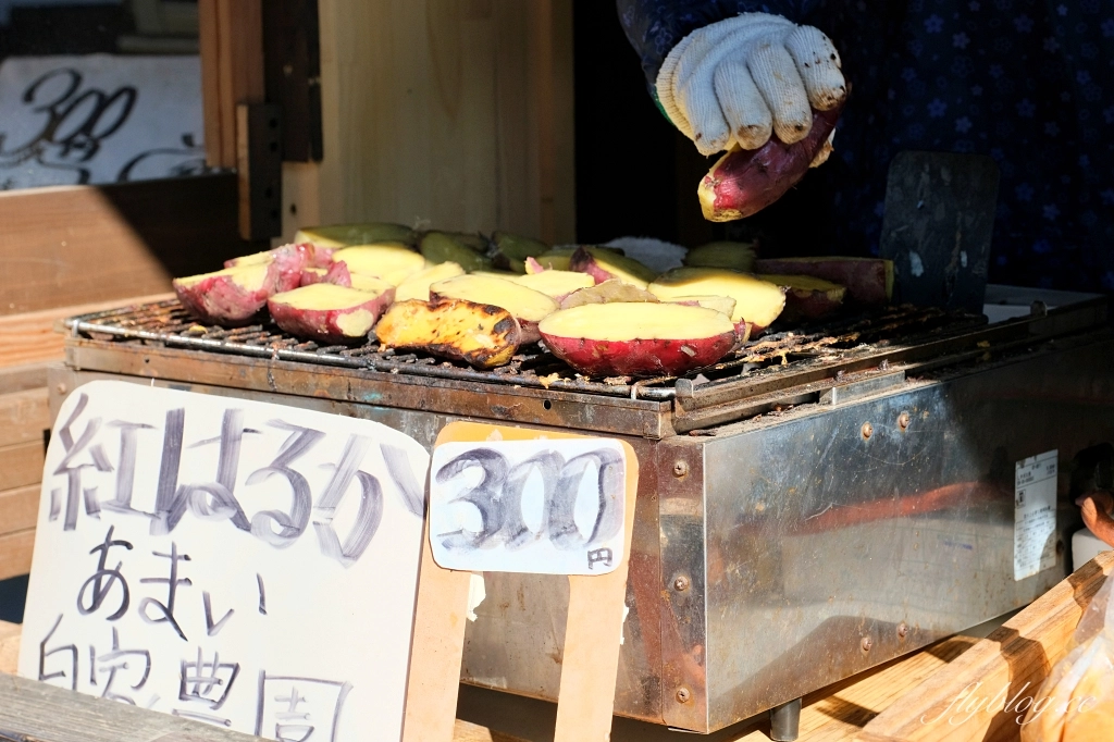 日本山梨｜富士山一日遊．富士山+河口湖天上山公園纜車+忍野八海+淺間公園 (KKday東京出發) @飛天璇的口袋