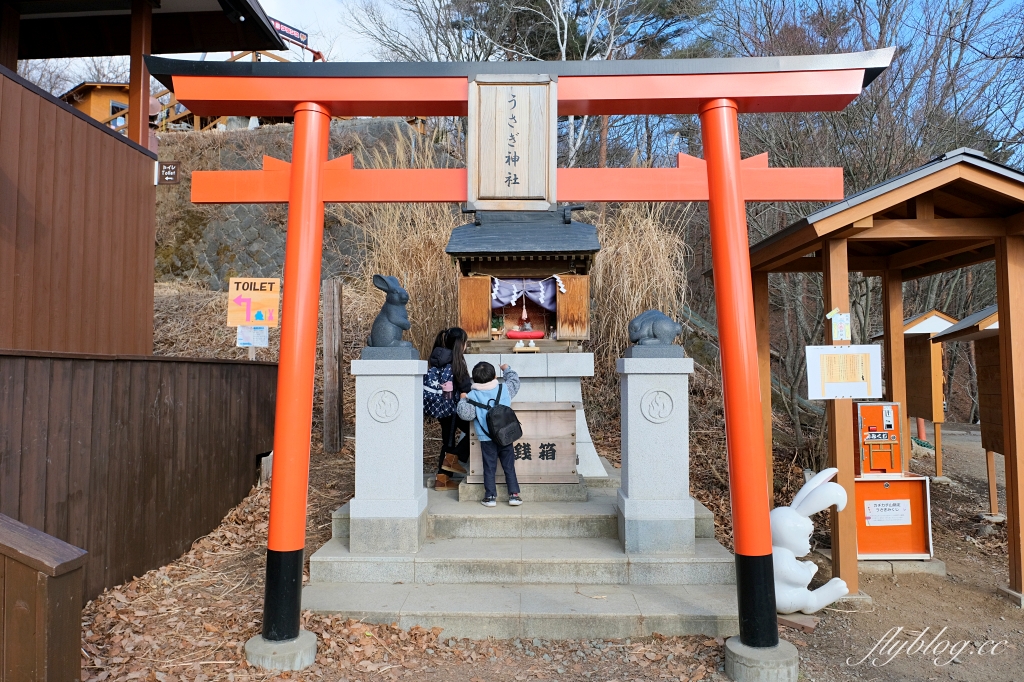日本山梨｜富士山一日遊．富士山+河口湖天上山公園纜車+忍野八海+淺間公園 (KKday東京出發) @飛天璇的口袋