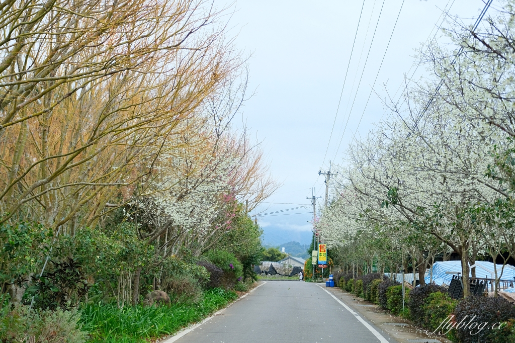 苗栗卓蘭｜厚食餐廳．橘子倉庫改建而成，預約制小農好食料理 @飛天璇的口袋